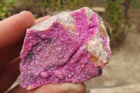 Natural Salrose Cobaltion Dolomite Specimens x 12 From Kakanda, Congo