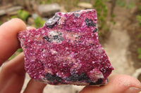 Natural Salrose Cobaltion Dolomite Specimens x 12 From Kakanda, Congo