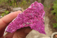 Natural Salrose Cobaltion Dolomite Specimens x 12 From Kakanda, Congo