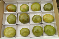 Polished Green Opal Galet / Palm Stones x 12 From Madagascar