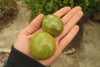 Polished Green Opal Galet / Palm Stones x 12 From Madagascar