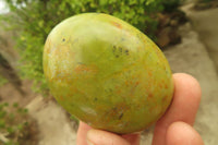 Polished Green Opal Galet / Palm Stones x 12 From Madagascar