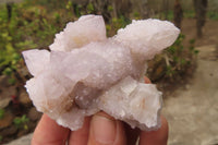 Natural Amethyst Spirit Quartz Clusters x 12 From South Africa