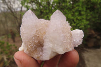 Natural Amethyst Spirit Quartz Clusters x 12 From South Africa