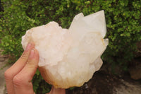 Natural Quartz Clusters x 2 From Madagascar