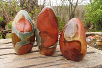 Polished Polychrome Jasper Standing Free Forms x 3 From Madagascar