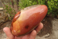 Polished Polychrome Jasper Standing Free Forms x 3 From Madagascar