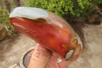 Polished Polychrome Jasper Standing Free Forms x 3 From Madagascar