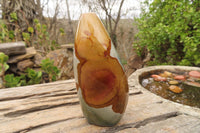 Polished Polychrome Jasper Standing Free Forms x 3 From Madagascar