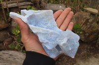 Natural Etched Blue Chalcedony Specimens x 2 From Nsanje, Malawi