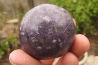 Polished Lepidolite Galet / Palm Stones x 24 From Madagascar