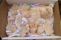 Natural Quartz Clusters x 12 From Madagascar