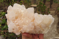 Natural Quartz Clusters x 12 From Madagascar