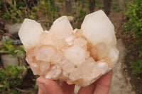 Natural Quartz Clusters x 12 From Madagascar