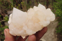 Natural Quartz Clusters x 12 From Madagascar