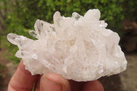 Natural Quartz Clusters x 12 From Madagascar