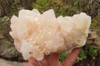 Natural Quartz Clusters x 12 From Madagascar