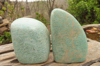 Polished Amazonite Standing Free Forms x 6 From Zimbabwe