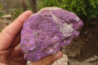 Natural Metallic Purpurite Cobbed Specimens x 6 From Erongo, Namibia