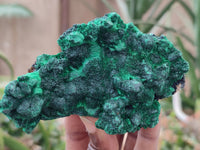 Natural Silky Malachite Specimens x 4 From Kasompe, Congo