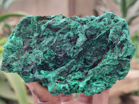 Natural Silky Malachite Specimens x 4 From Kasompe, Congo