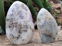 Polished Dendritic Opal Standing Free Forms x 2 From Madagascar