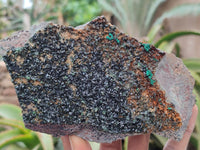 Natural Libethenite Crystals On Dolomite Matrix Specimens x 3 From Congo