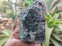 Natural Libethenite Crystals On Dolomite Matrix Specimens x 3 From Congo