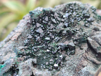 Natural Libethenite Crystals On Dolomite Matrix Specimens x 3 From Congo