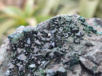 Natural Libethenite Crystals On Dolomite Matrix Specimens x 3 From Congo