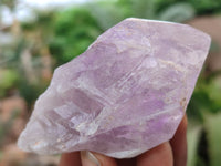 Natural Jacaranda Amethyst Single Crystals x 24 From Zambia