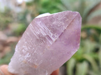 Natural Jacaranda Amethyst Single Crystals x 24 From Zambia