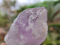 Natural Jacaranda Amethyst Single Crystals x 24 From Zambia