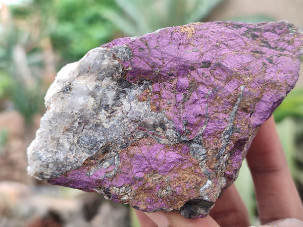 Natural Metallic Purpurite Cobbed Specimens x 6 From Erongo, Namibia