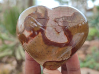 Polished Polychrome Jasper Hearts x 12 From Madagascar