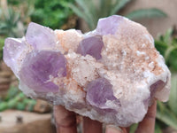 Natural Jacaranda Amethyst Clusters x 5 From Zambia