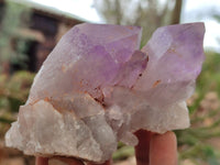 Natural Jacaranda Amethyst Clusters x 5 From Zambia