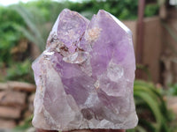 Natural Jacaranda Amethyst Clusters x 5 From Zambia