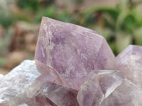 Natural Jacaranda Amethyst Clusters x 5 From Zambia