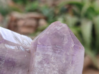 Natural Jacaranda Amethyst Clusters x 5 From Zambia