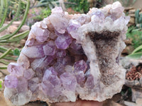 Natural Jacaranda Amethyst Cluster x 1 From Mumbwa, Zambia