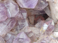 Natural Jacaranda Amethyst Cluster x 1 From Mumbwa, Zambia