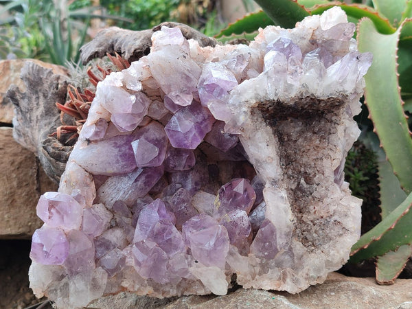 Natural Jacaranda Amethyst Cluster x 1 From Mumbwa, Zambia