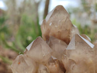 Natural Smokey Quartz Clusters x 2 From Luena, Congo