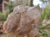 Natural Smokey Quartz Clusters x 2 From Luena, Congo