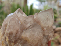 Natural Smokey Quartz Clusters x 2 From Luena, Congo