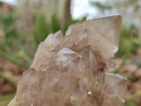 Natural Smokey Quartz Clusters x 2 From Luena, Congo