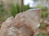 Natural Smokey Quartz Clusters x 2 From Luena, Congo