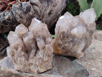 Natural Smokey Quartz Clusters x 2 From Luena, Congo