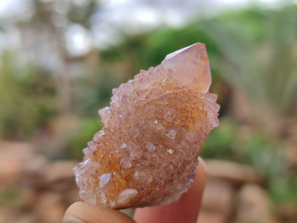 Natural Amethyst Spirit Quartz Single Crystals x 70 From Boekenhouthoek, South Africa